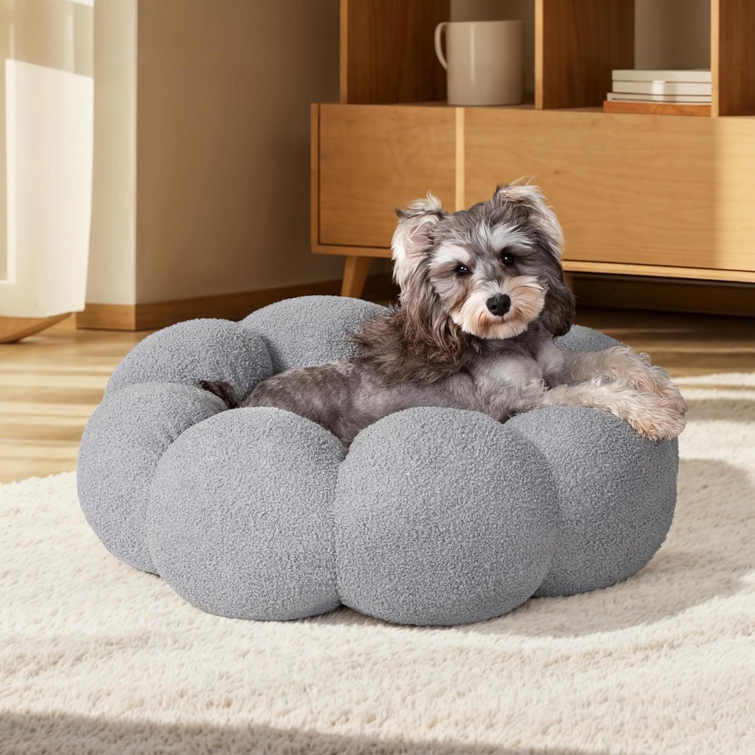 Pet Supplies