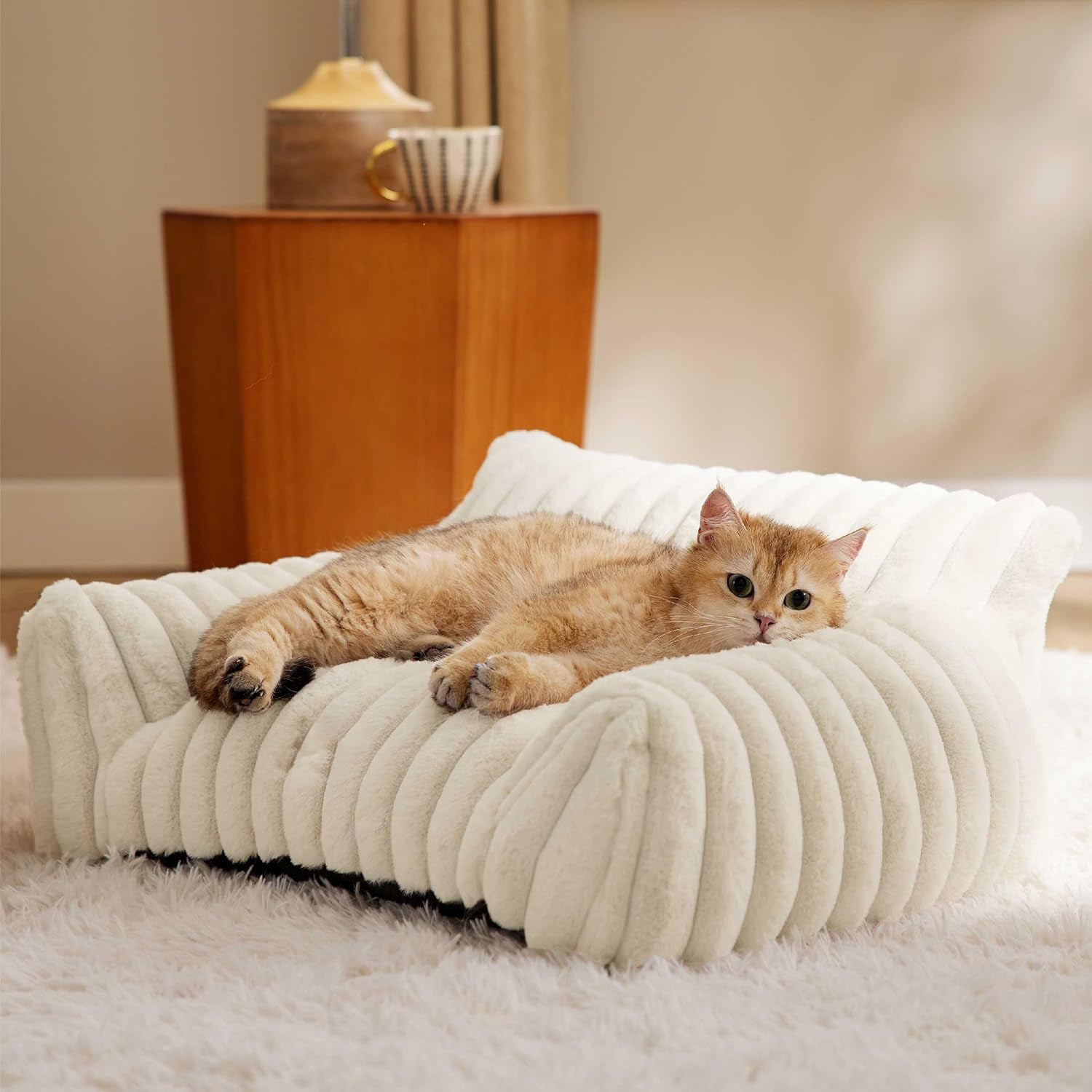 Pet Essentials