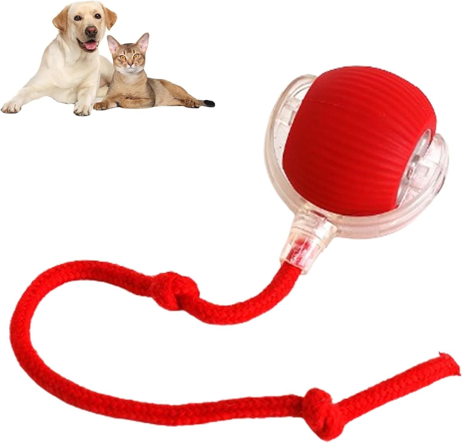 Rolling Ball For Dogs A Doggie Ball Interactive