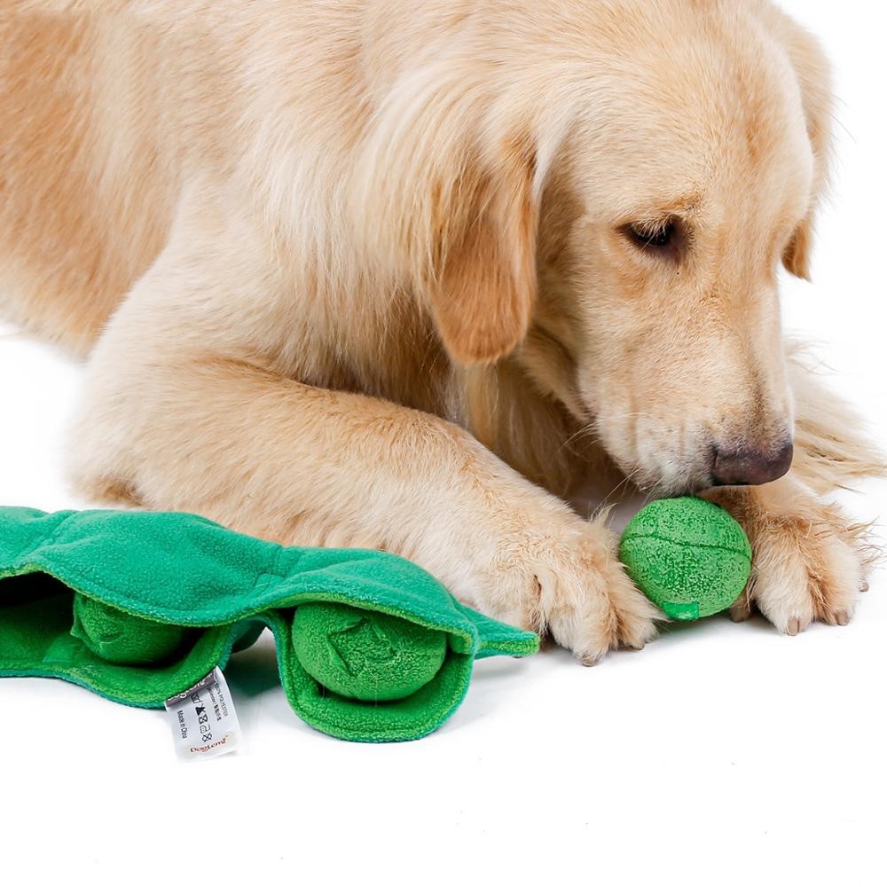 Molar Stick Plush Toy: A Vocalisation Reliever for Bored Pets