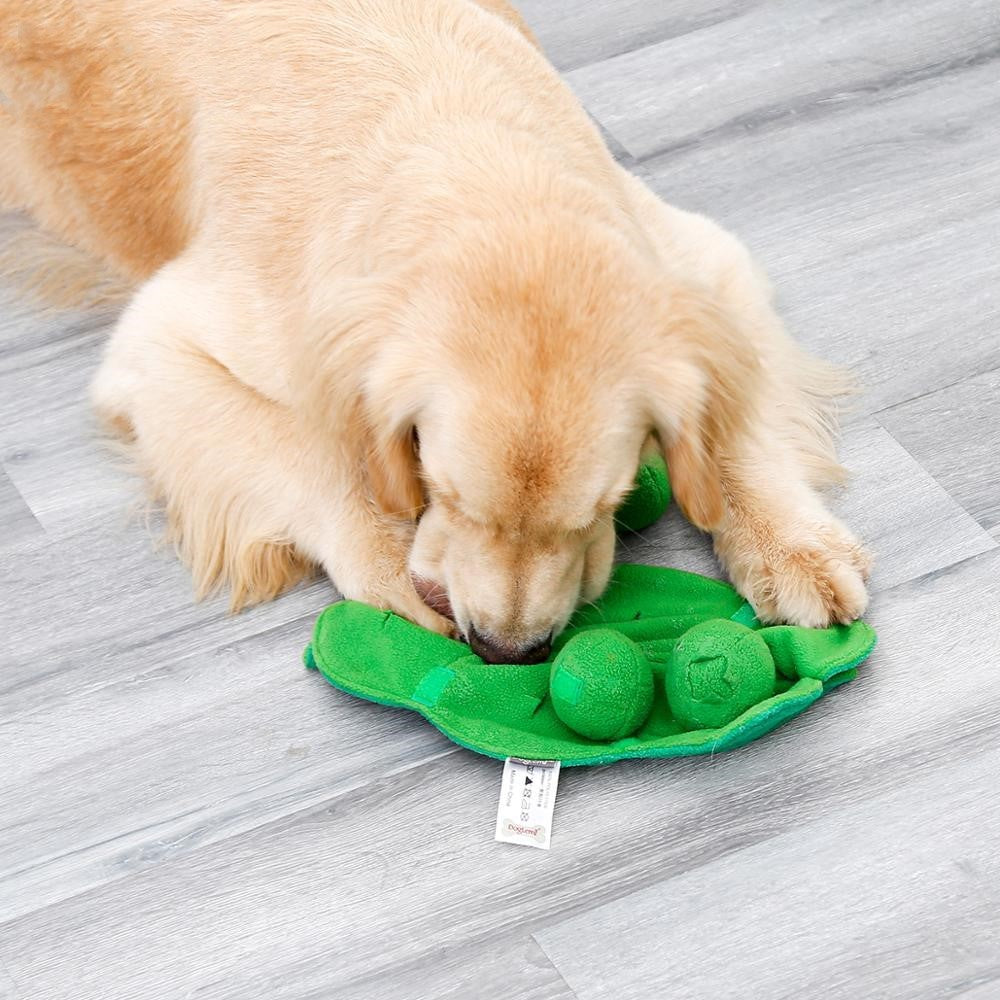 Molar Stick Plush Toy: A Vocalisation Reliever for Bored Pets