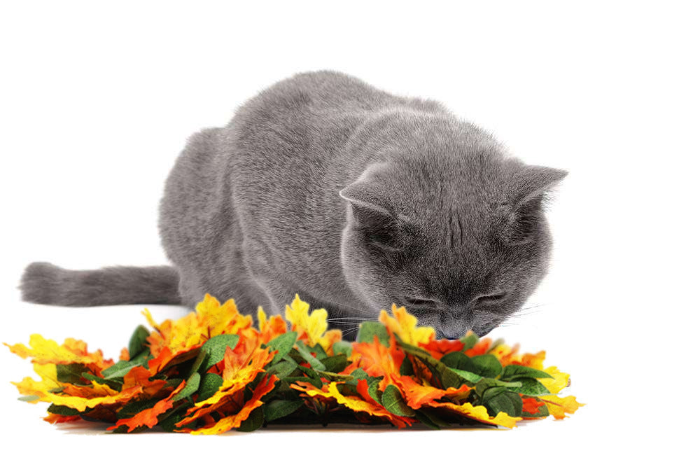 Pet Jungle Feeding Mat Washable Pet Sniffing Blanket