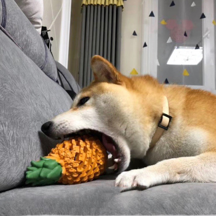 Funny Fruits Shape Dog Toy