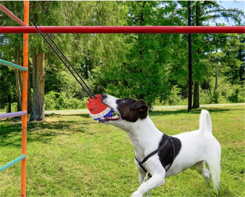Dog Teething and Bite-Resistant Outdoor Strong Draw Rope Ball