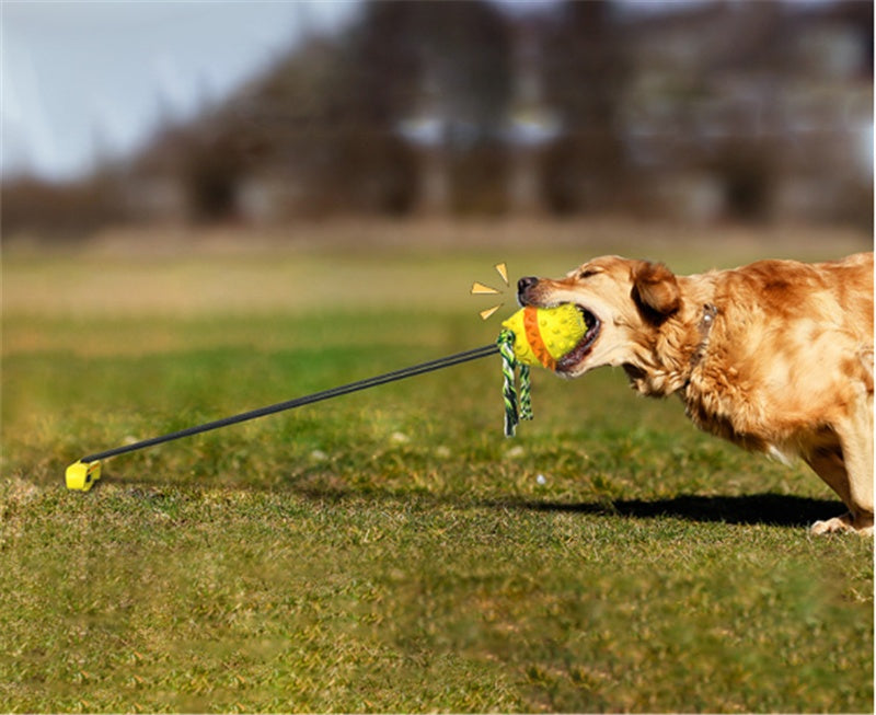 Dog Teething and Bite-Resistant Outdoor Strong Draw Rope Ball