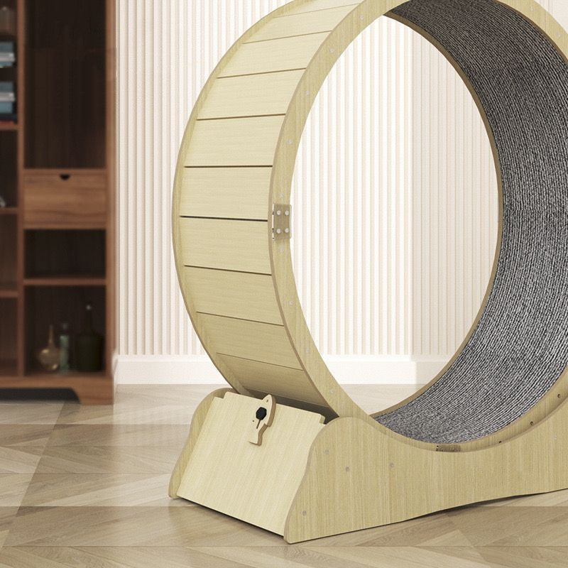 Cat Specific Treadmill Fitness Roller