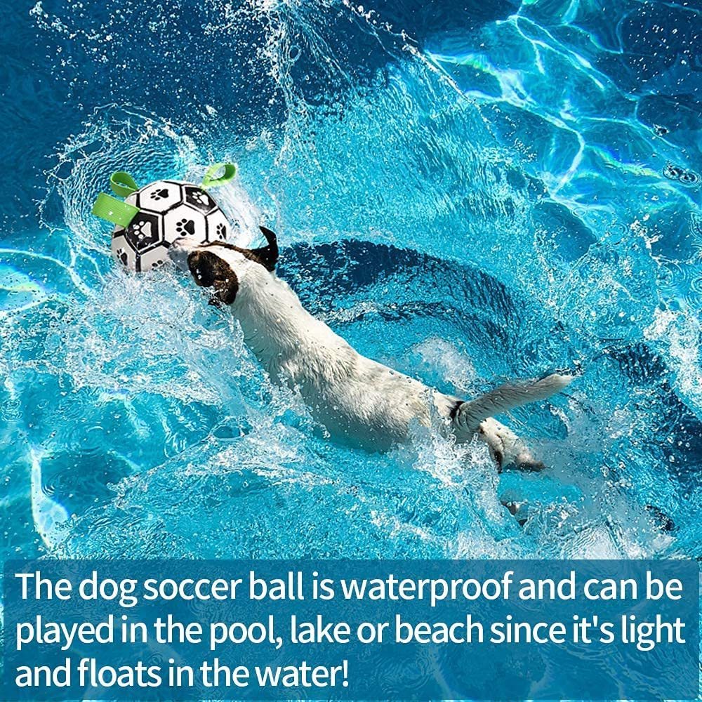 Interactive Dog Football Toy: Soccer Ball, Inflated Training Toy for Dogs