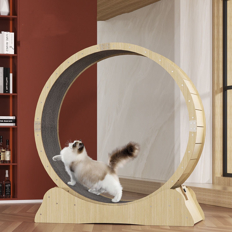 Cat Specific Treadmill Fitness Roller