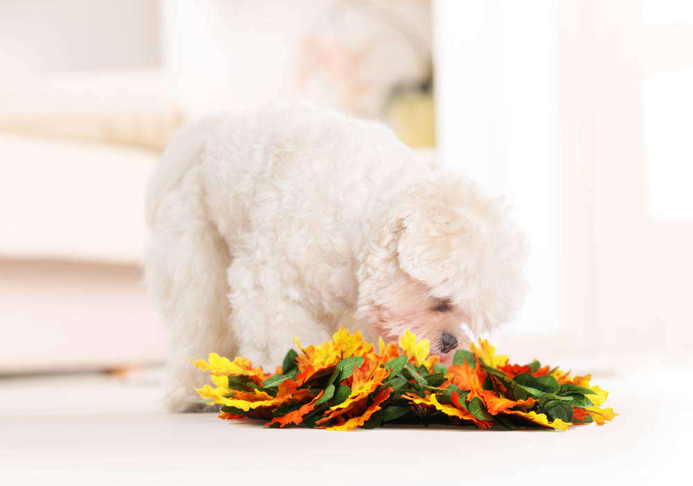Pet Jungle Feeding Mat Washable Pet Sniffing Blanket