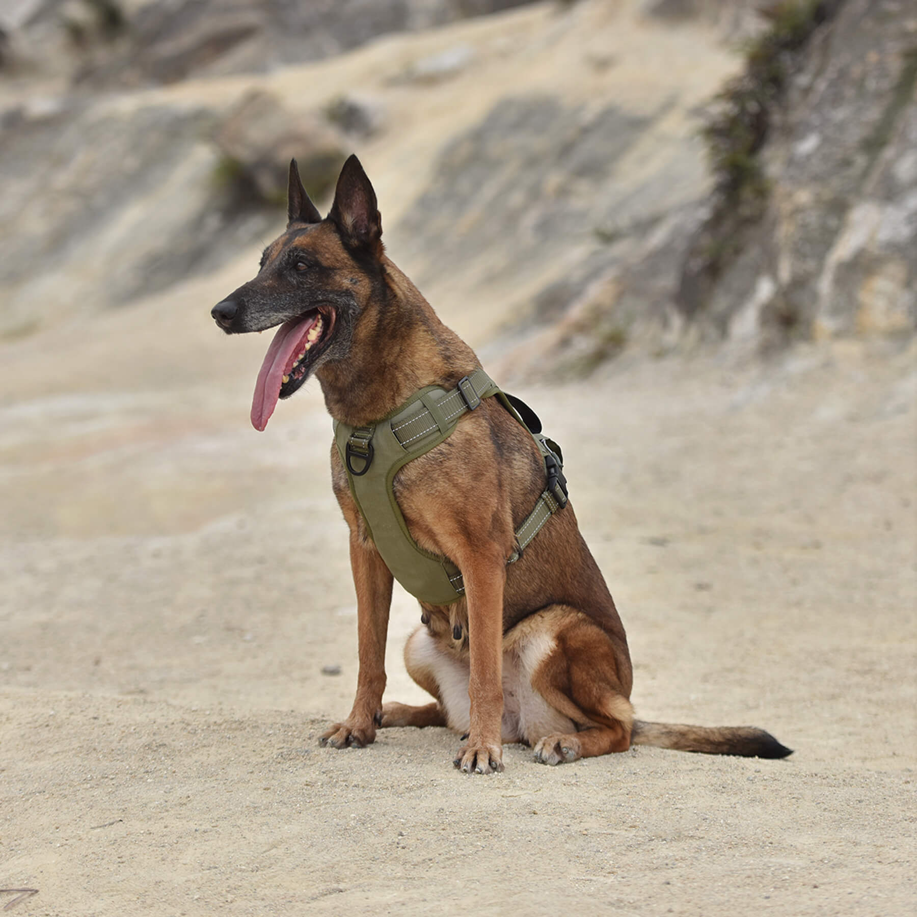 PETMARVEL High-Perfomance Tactical Dog Harness With Poop Bag Holder, No Pull Front Clip & Metal Buckles