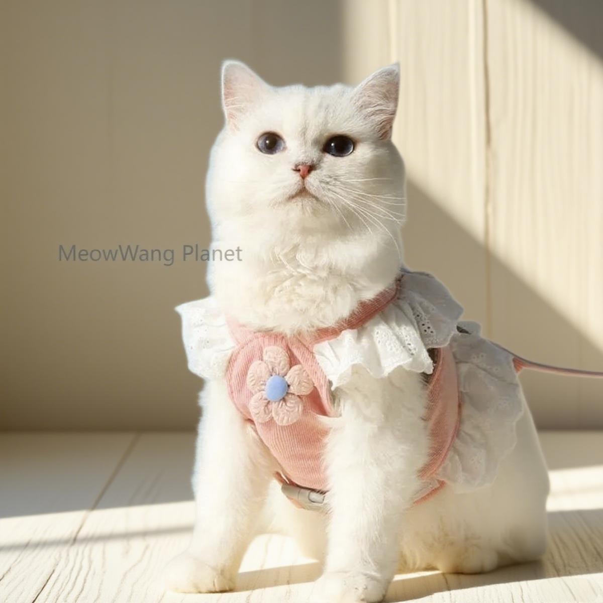 Dog Leash Cat Leash Premium Summer Pet Harness Leash Set