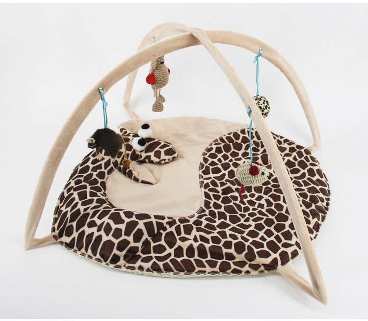 Cat Playing Bed
