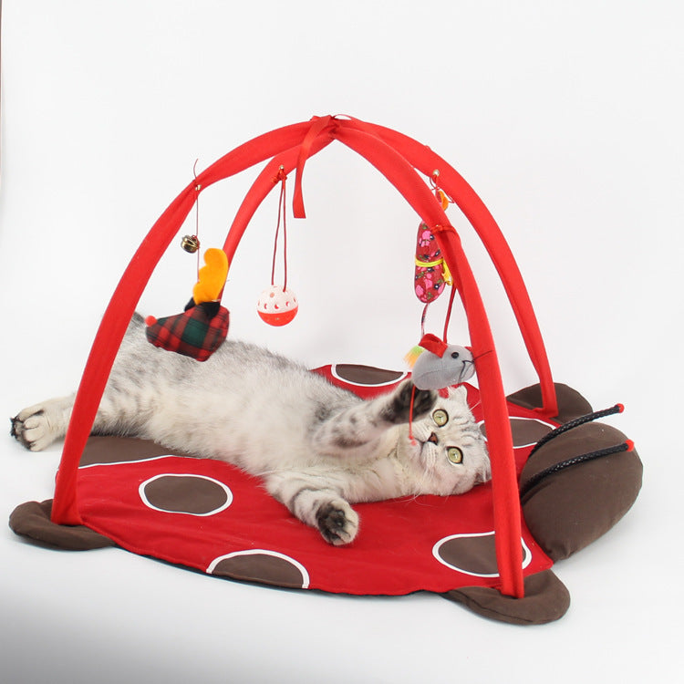 Cat Playing Bed