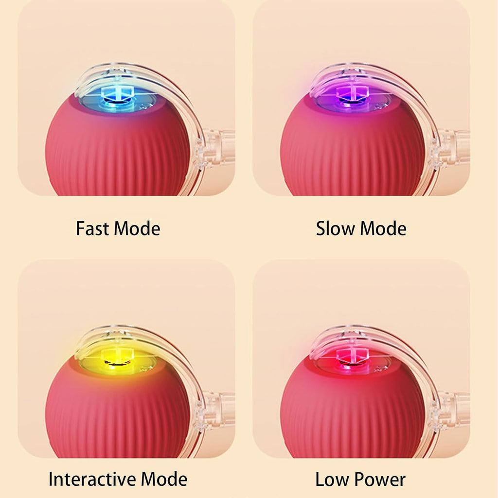 Rolling Ball For Dogs A Doggie Ball Interactive