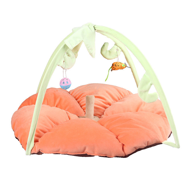 Cat Playing Bed