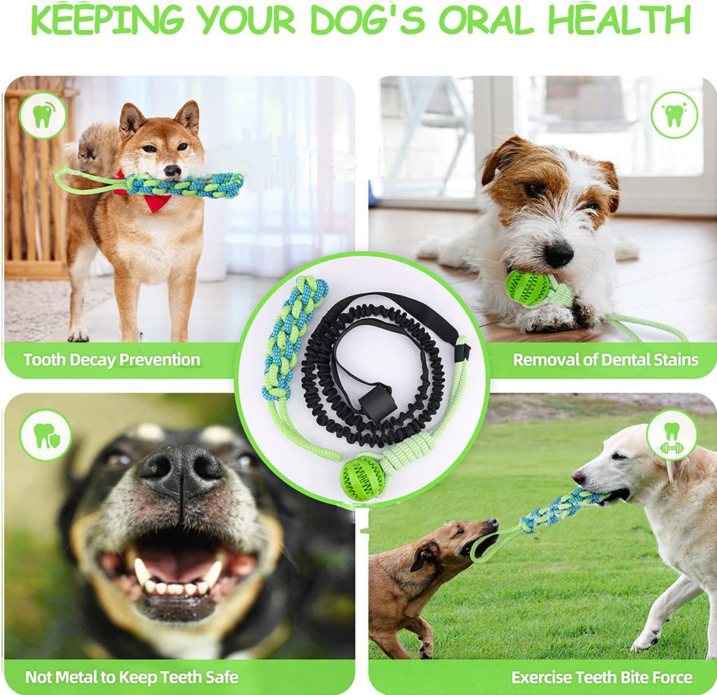 Dog Tug Of War Rope Molar Cleaning Tooth Bite Rope