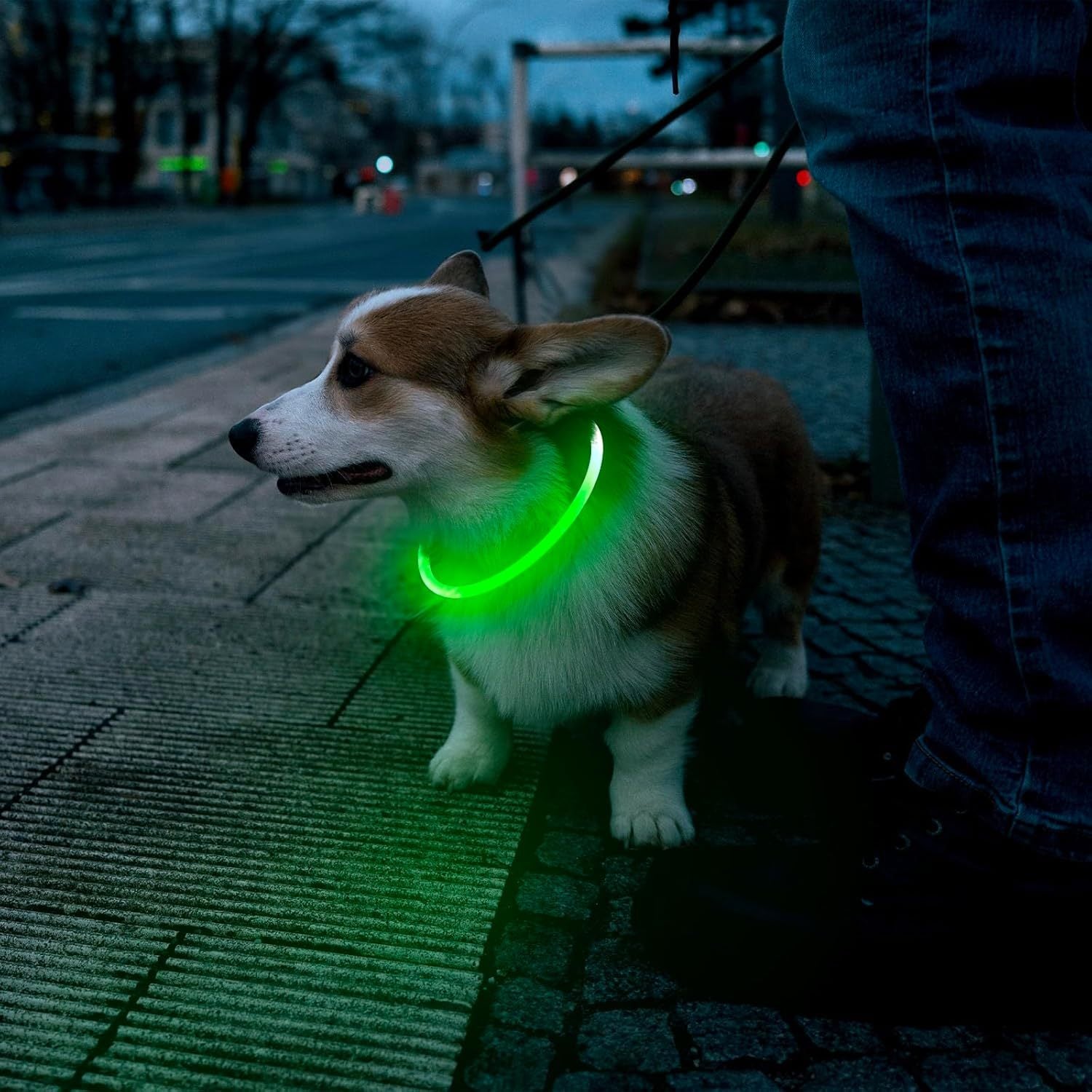 LED Dog Collar USB Rechargeable Glowing Pet Collars