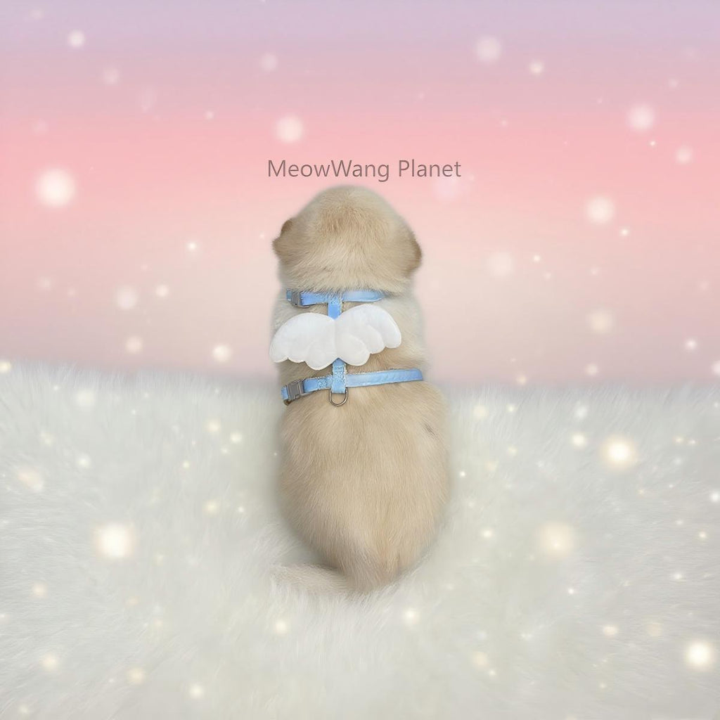 Dog Leash Cat Leash Charming Wings Pet Harness Leash