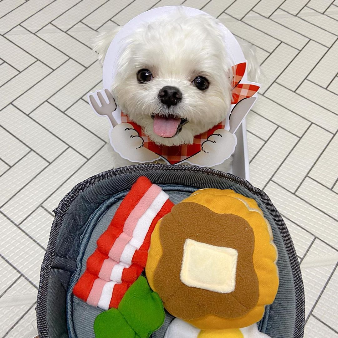 Dog Hde Food Toys