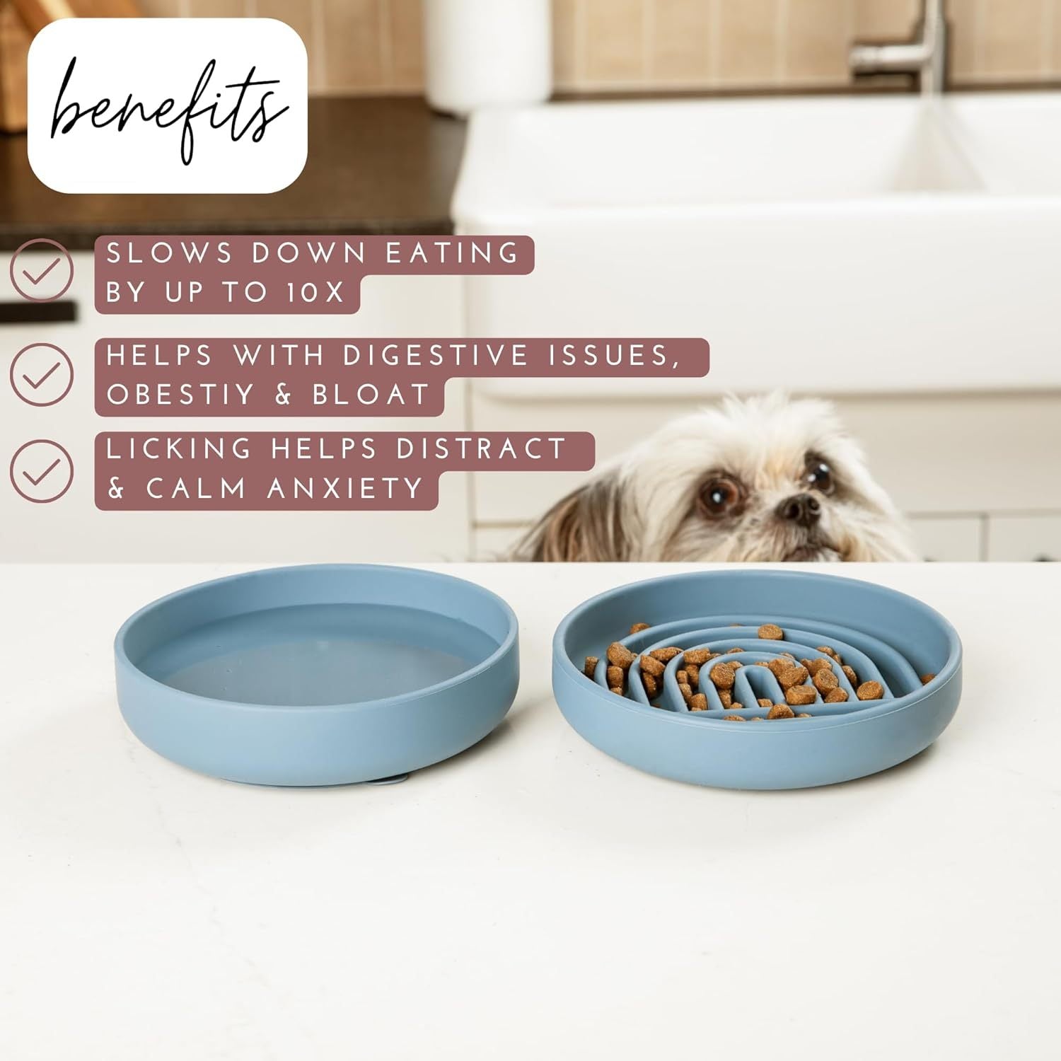 The Slowdown Bowl Silicone Slow Feeder For Dogs Puppies