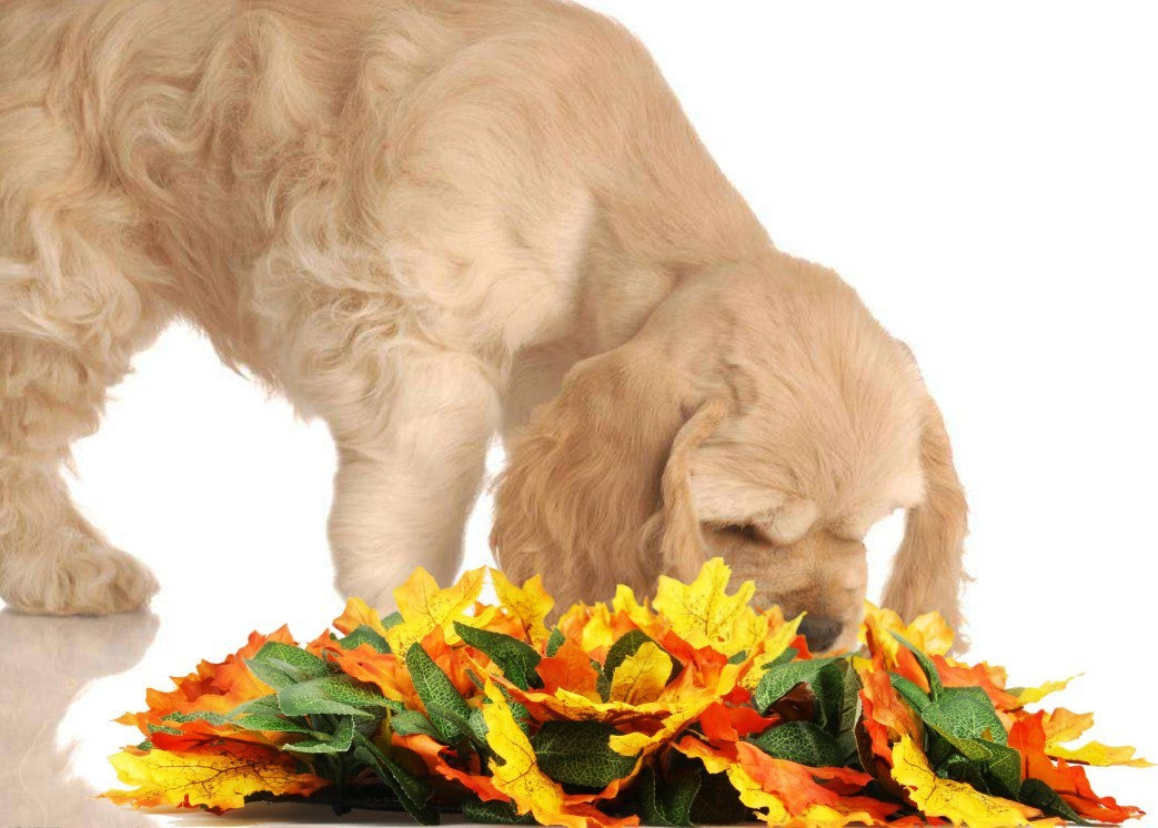 Pet Jungle Feeding Mat Washable Pet Sniffing Blanket