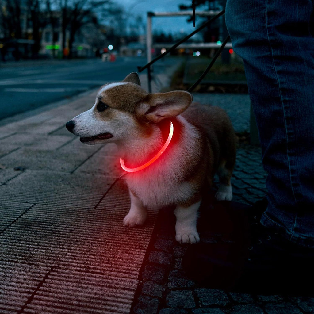 LED Dog Collar USB Rechargeable Glowing Pet Collars