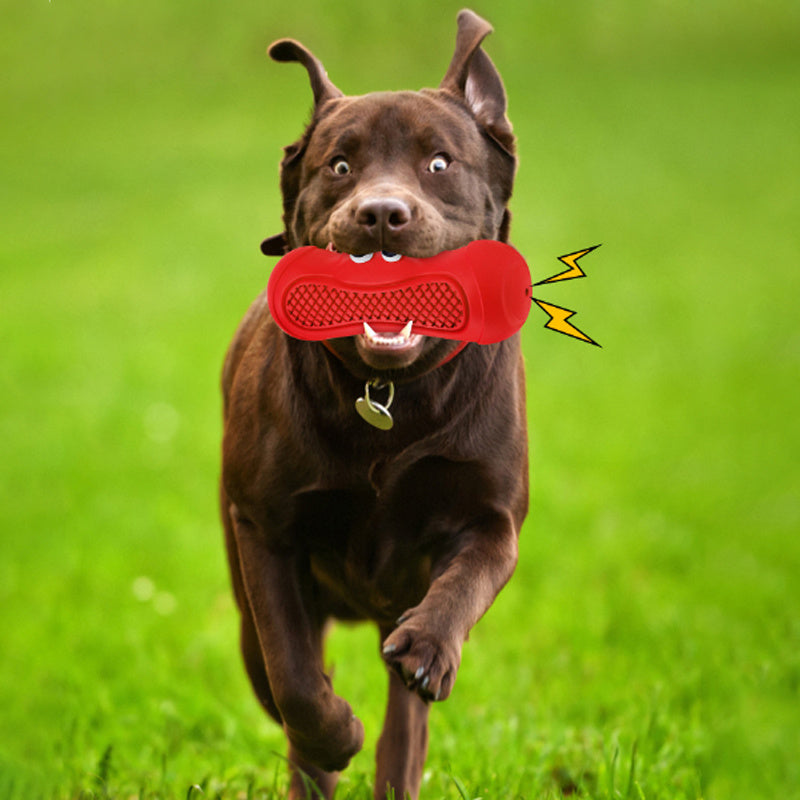 Vocal Rugby Natural Rubber Teething Toys