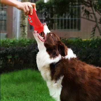 Vocal Rugby Natural Rubber Teething Toys