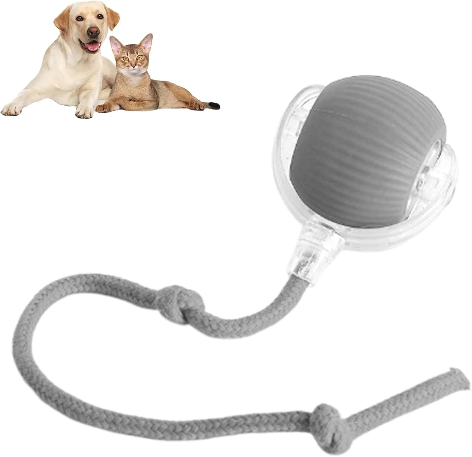 Rolling Ball For Dogs A Doggie Ball Interactive