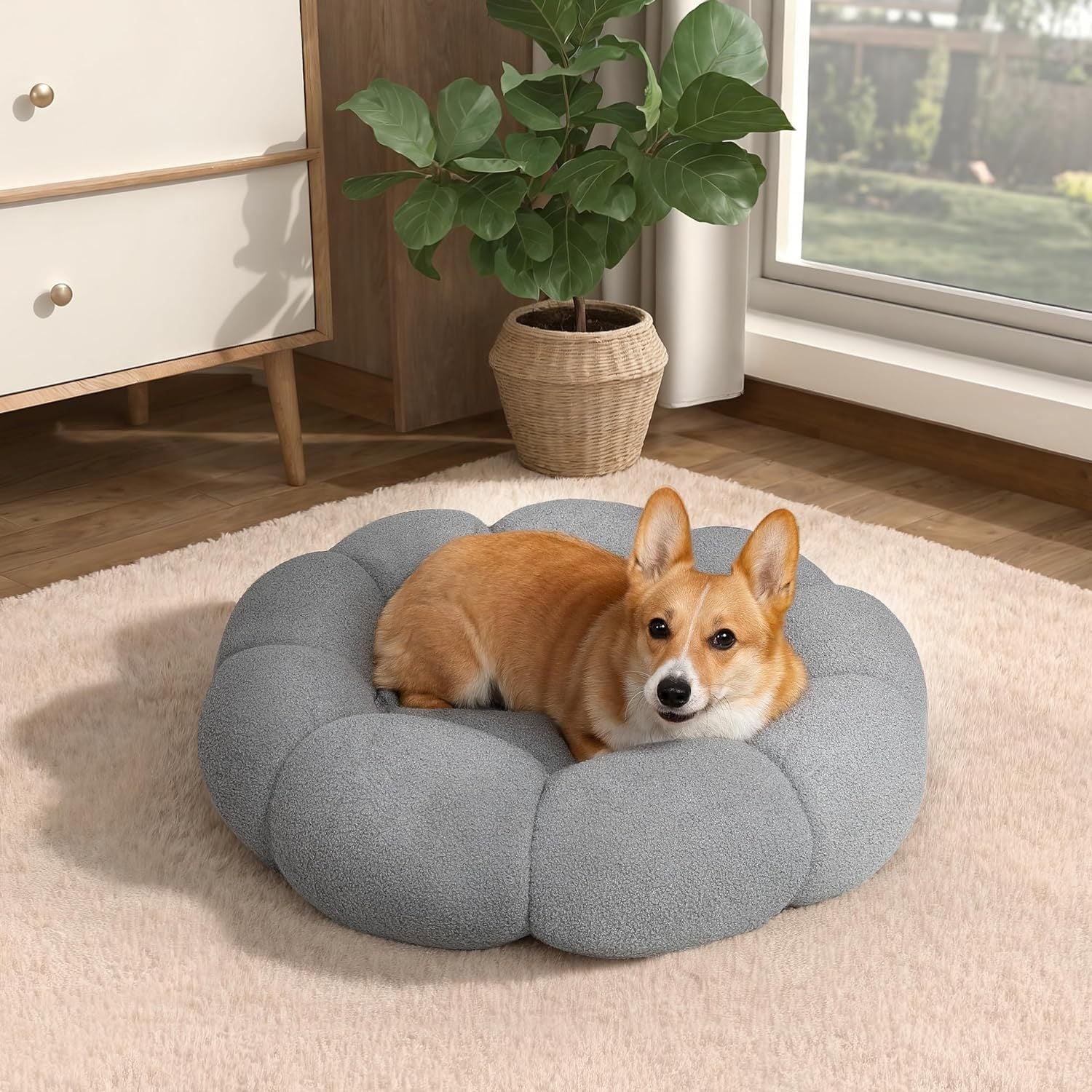Calming Cat And Dog Beds For Indoor Cats And Dogs