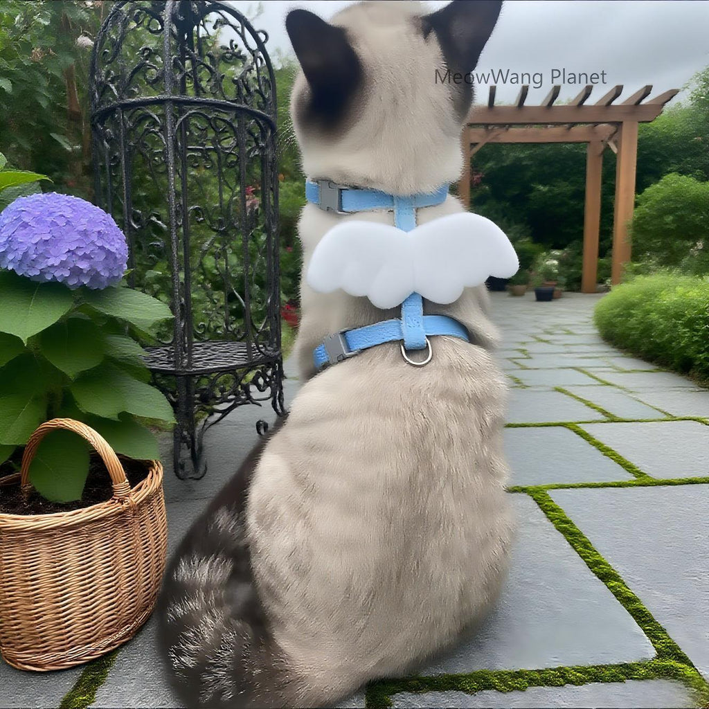Dog Leash Cat Leash Charming Wings Pet Harness Leash
