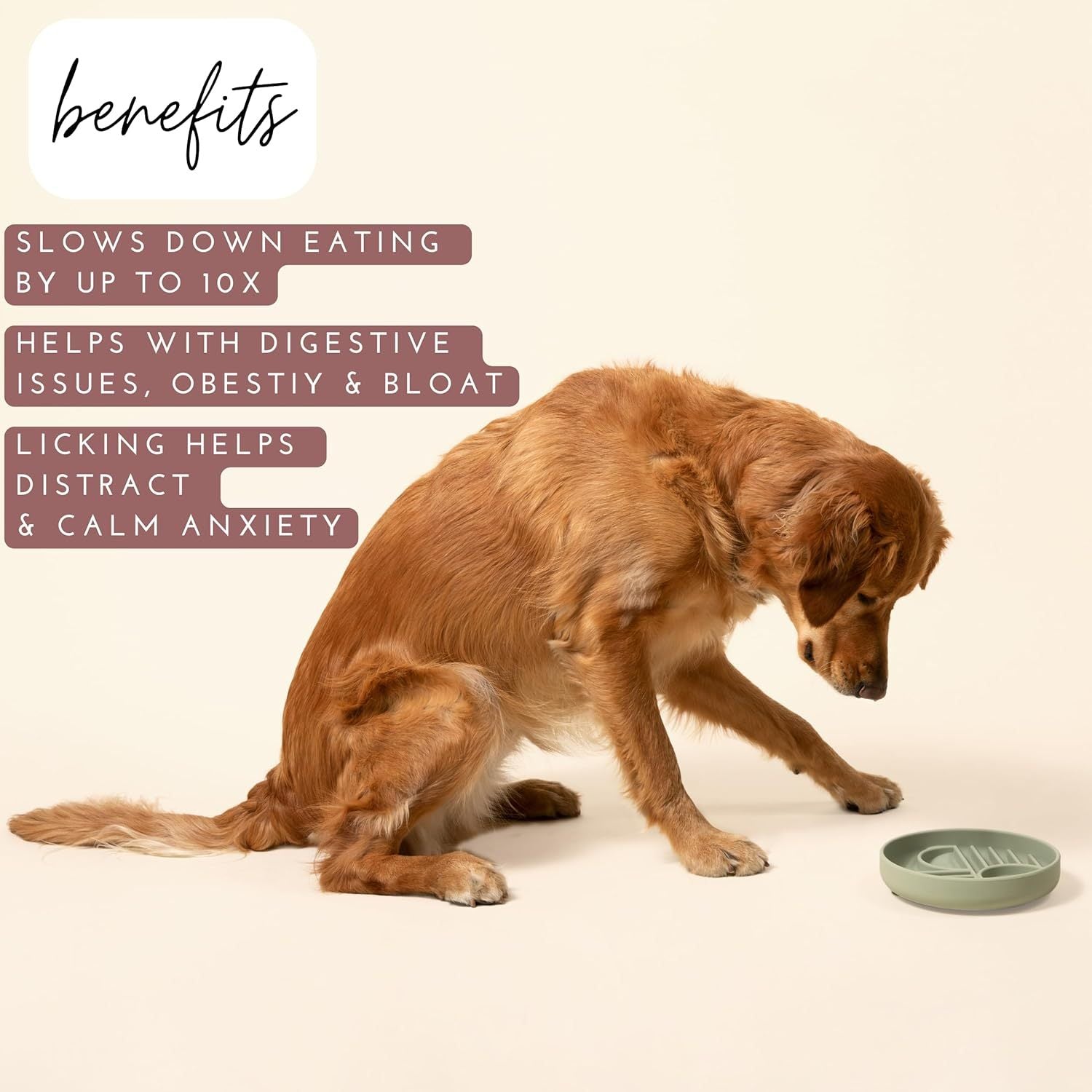 The Slowdown Bowl Silicone Slow Feeder For Dogs Puppies