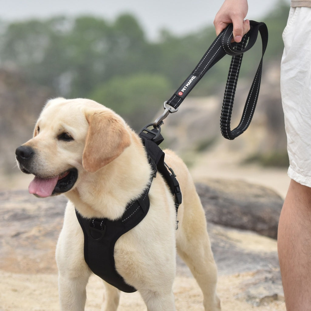 PETMARVEL 4-6 FT Shock Absorbing Tactical Dog Leash Dual Handle For Training