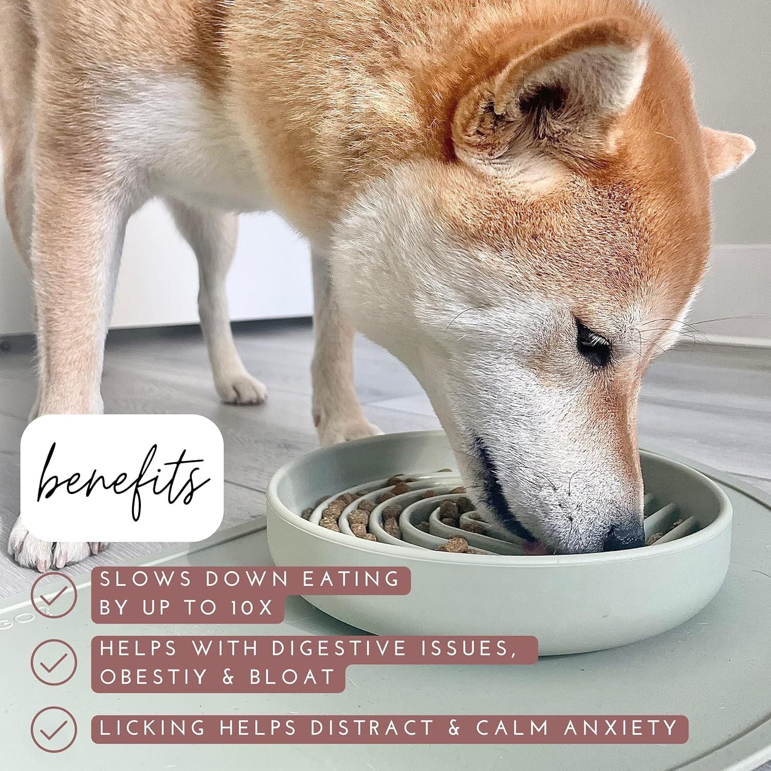The Slowdown Bowl Silicone Slow Feeder For Dogs Puppies