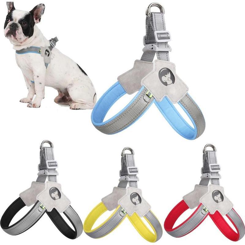Pet Dog Cat Harness, Pet Harness With Leash Set, Adjustable Puppy Harness