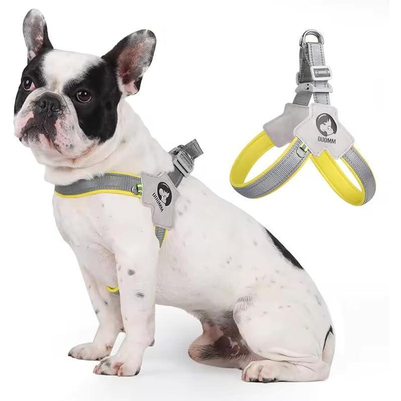 Pet Dog Cat Harness, Pet Harness With Leash Set, Adjustable Puppy Harness