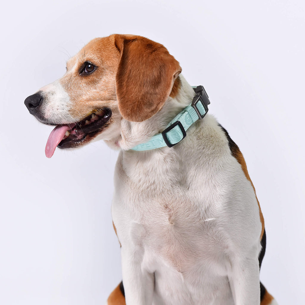 PETMARVEL Heavy Duty Solid Dog Collar Neoprene Padded One Inch Wide