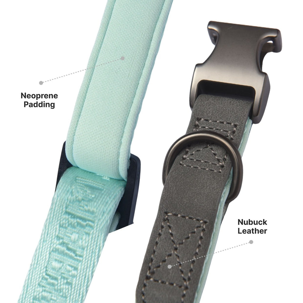 PETMARVEL Heavy Duty Solid Dog Collar Neoprene Padded One Inch Wide