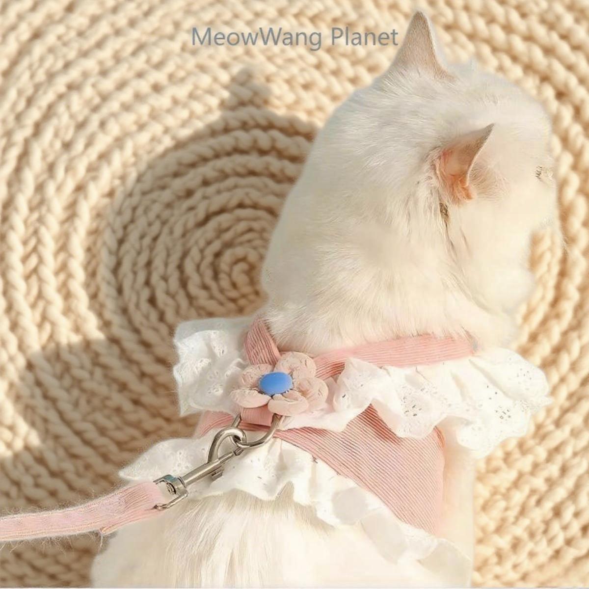 Dog Leash Cat Leash Premium Summer Pet Harness Leash Set