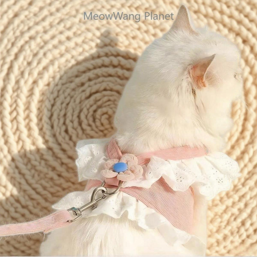 Dog Leash Cat Leash Premium Summer Pet Harness Leash Set