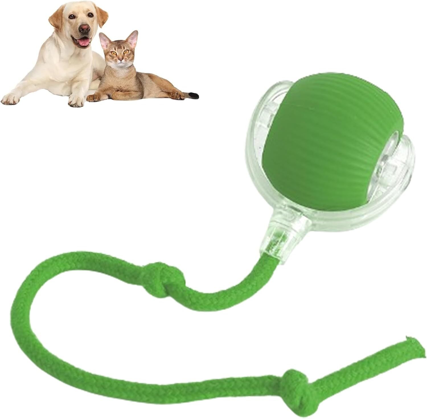 Rolling Ball For Dogs A Doggie Ball Interactive