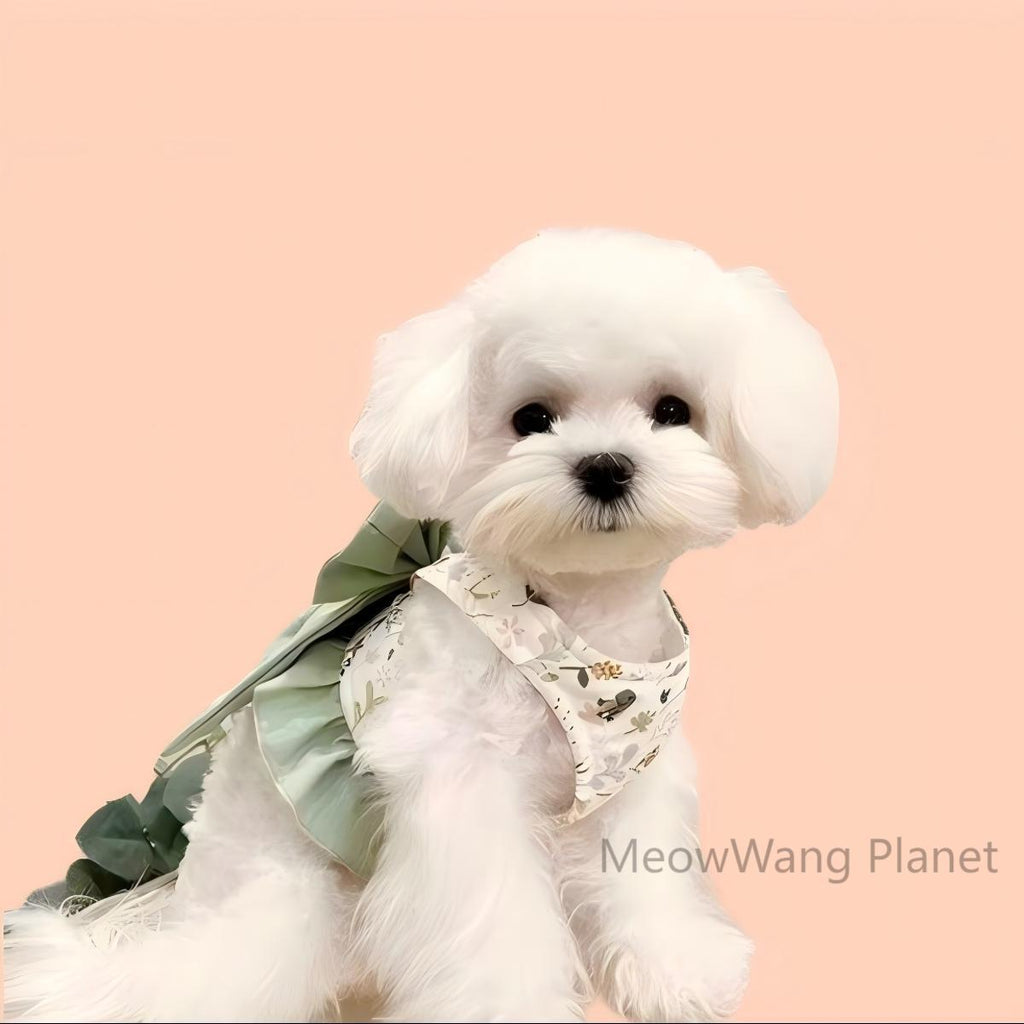 Pet Harness Leash Set Elegant Adjustable Half Vest Design For Cats Small Dogs