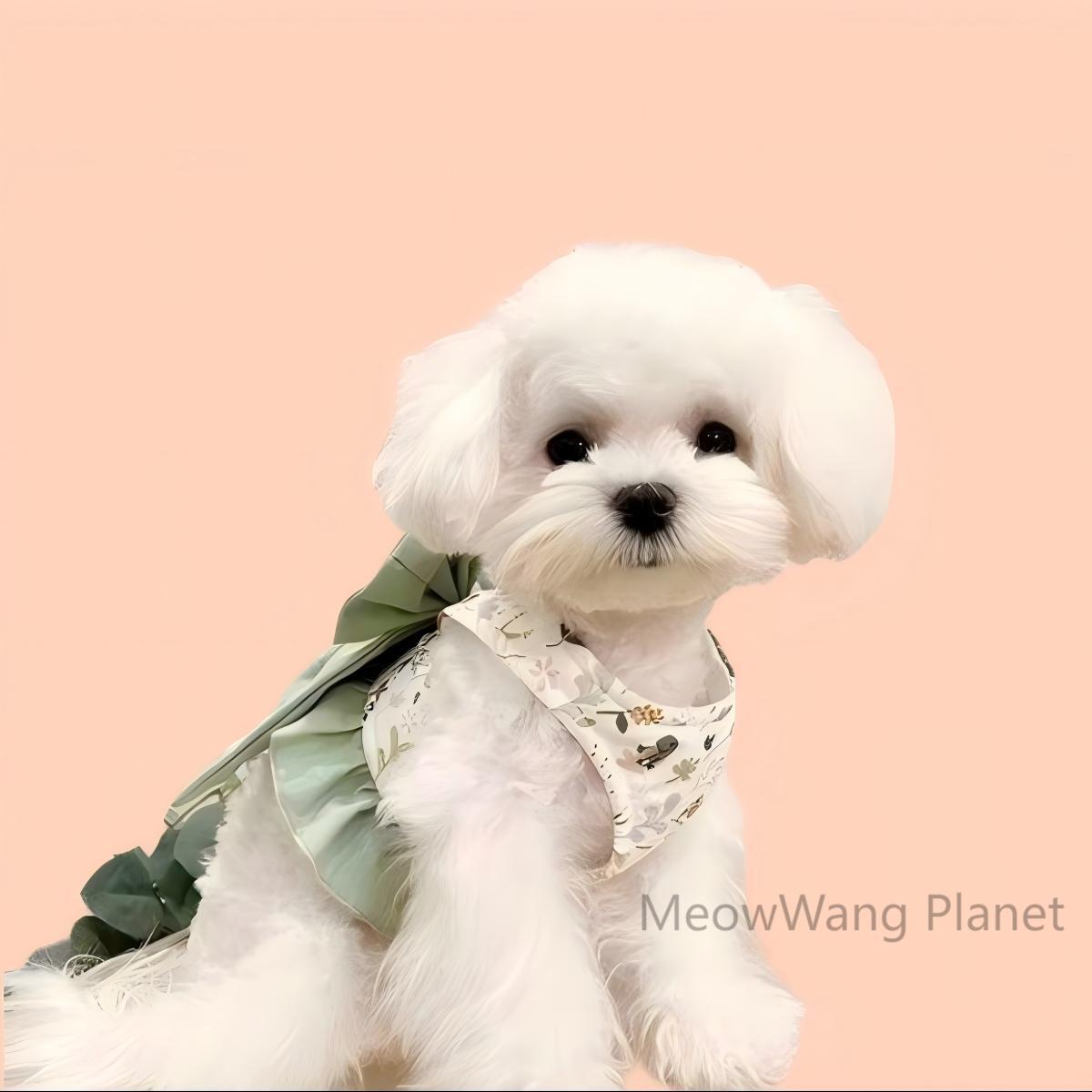 Pet Harness Leash Set Elegant Adjustable Half Vest Design For Cats Small Dogs